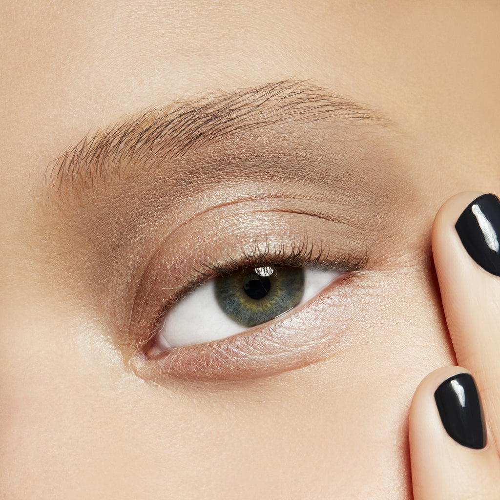 Eye Shadow | Fresh Daily Favorite