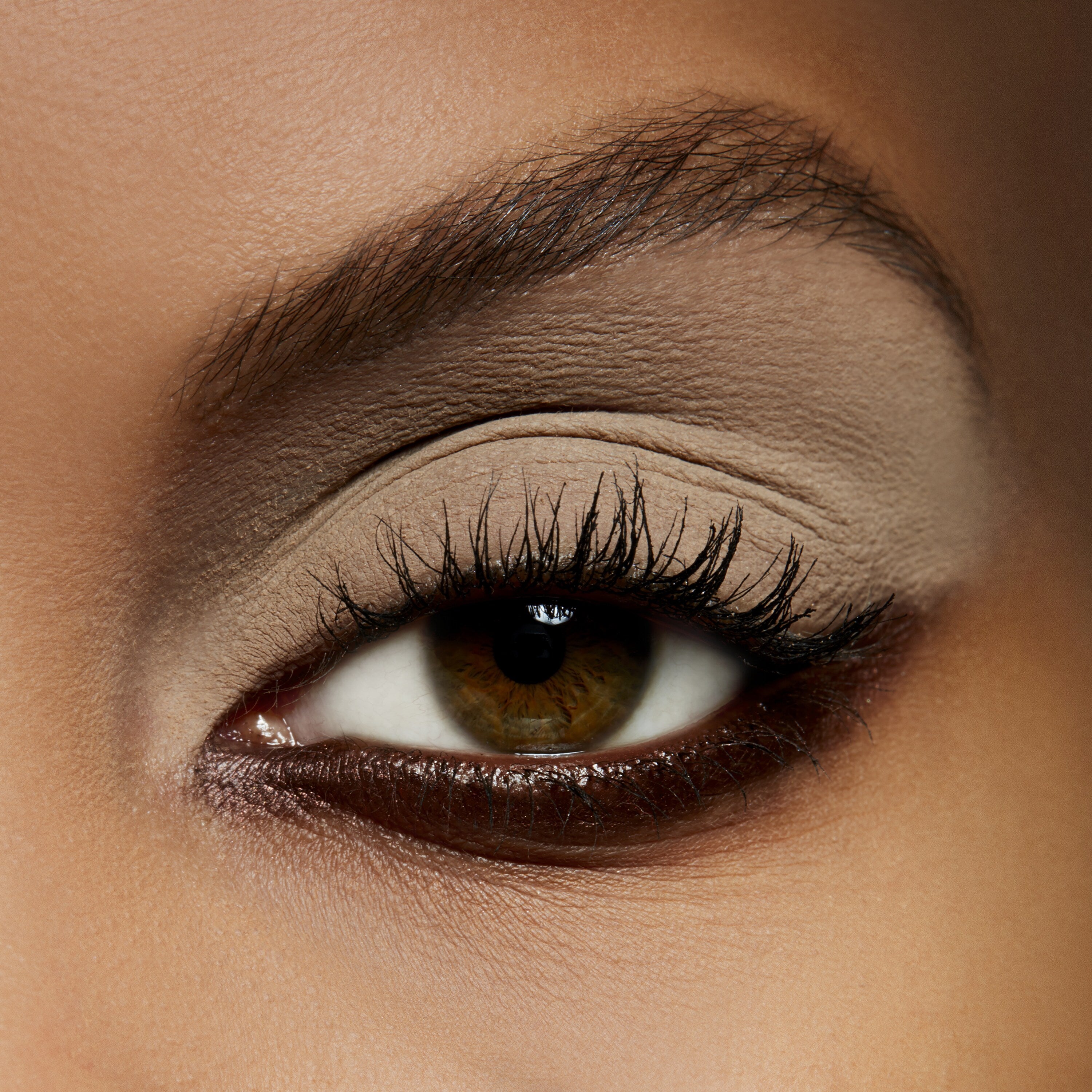 Eye Shadow | Fresh Daily Favorite