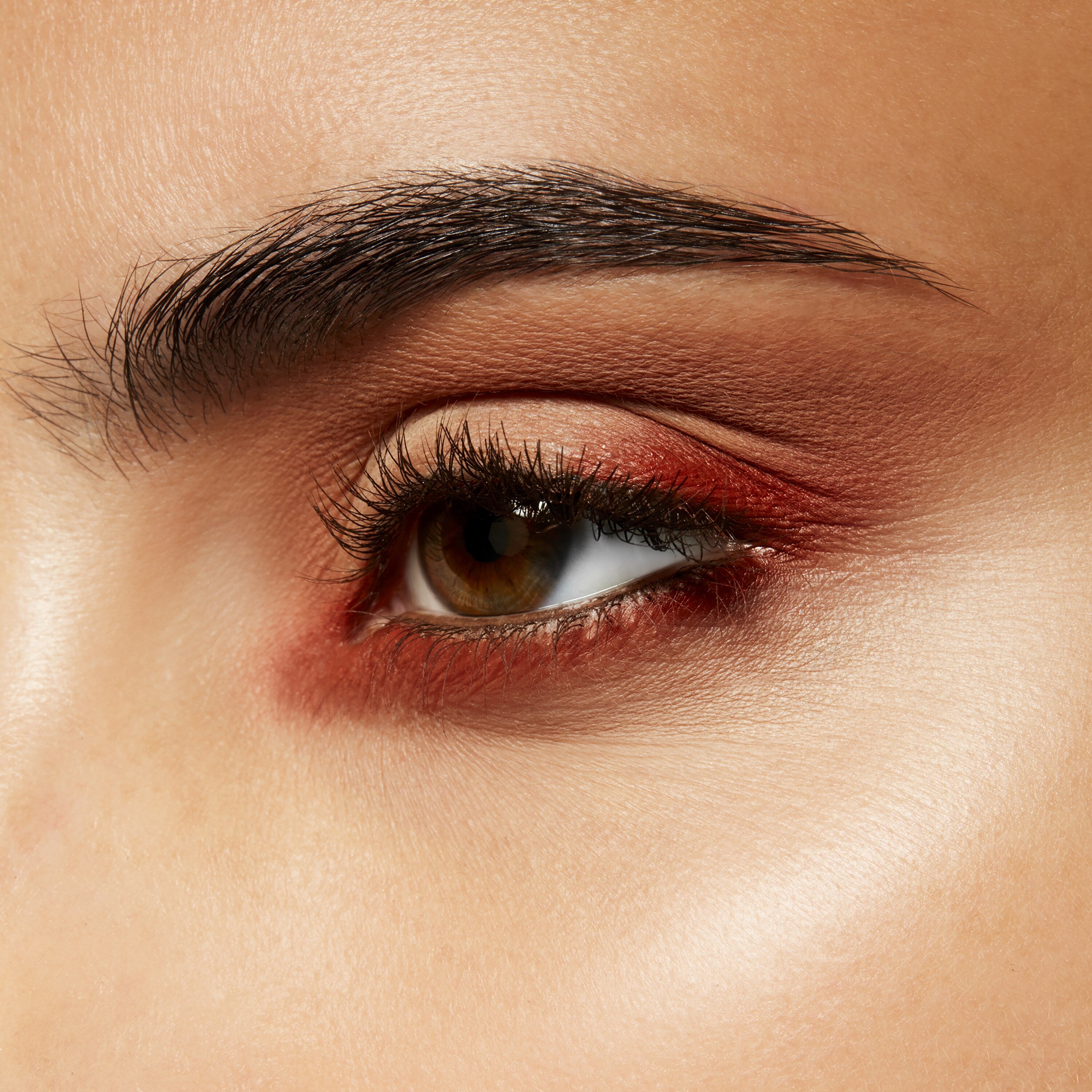 Eye Shadow (Pro Palette Refill Pan) | Fresh Daily Favorite