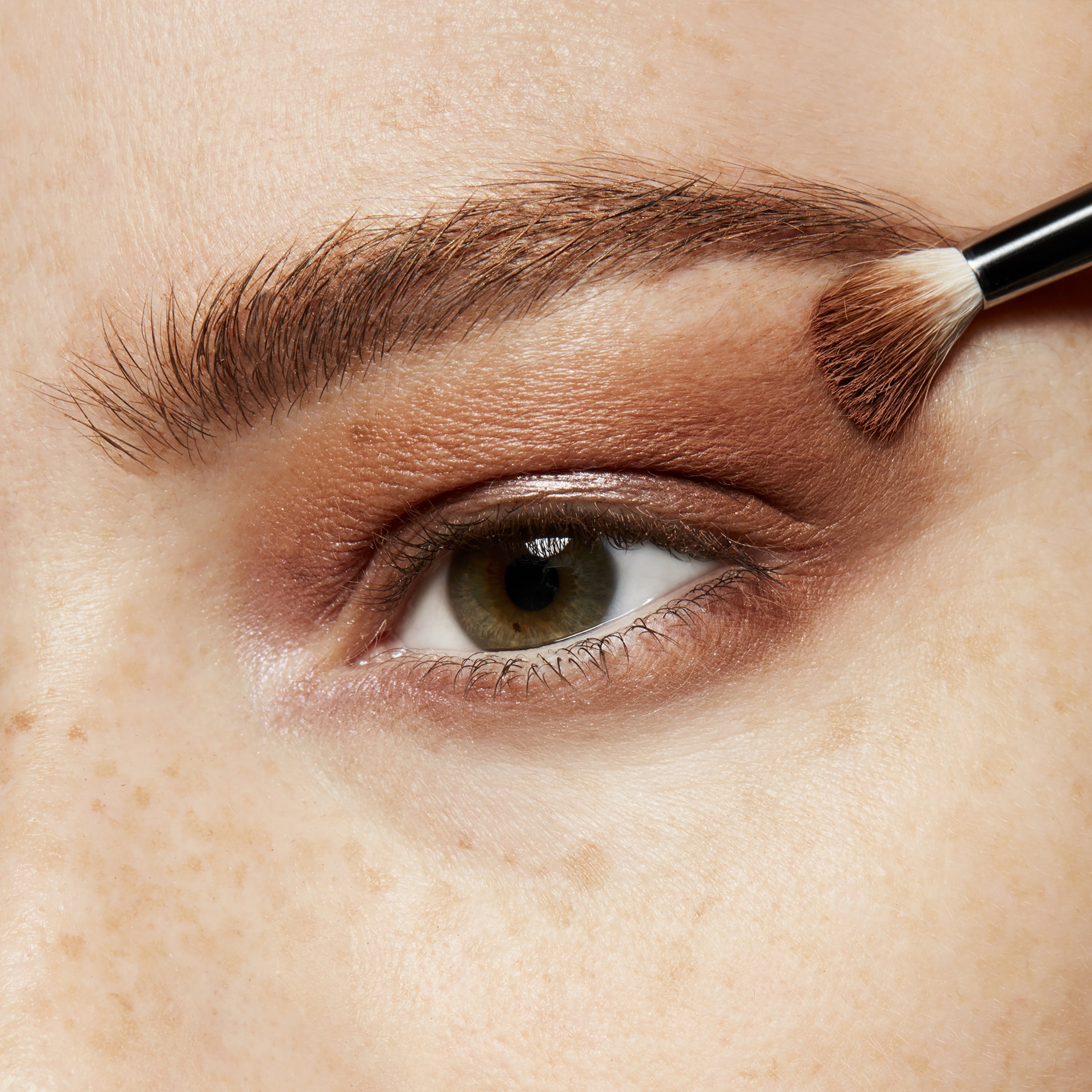 Eye Shadow (Pro Palette Refill Pan) | Fresh Daily Favorite