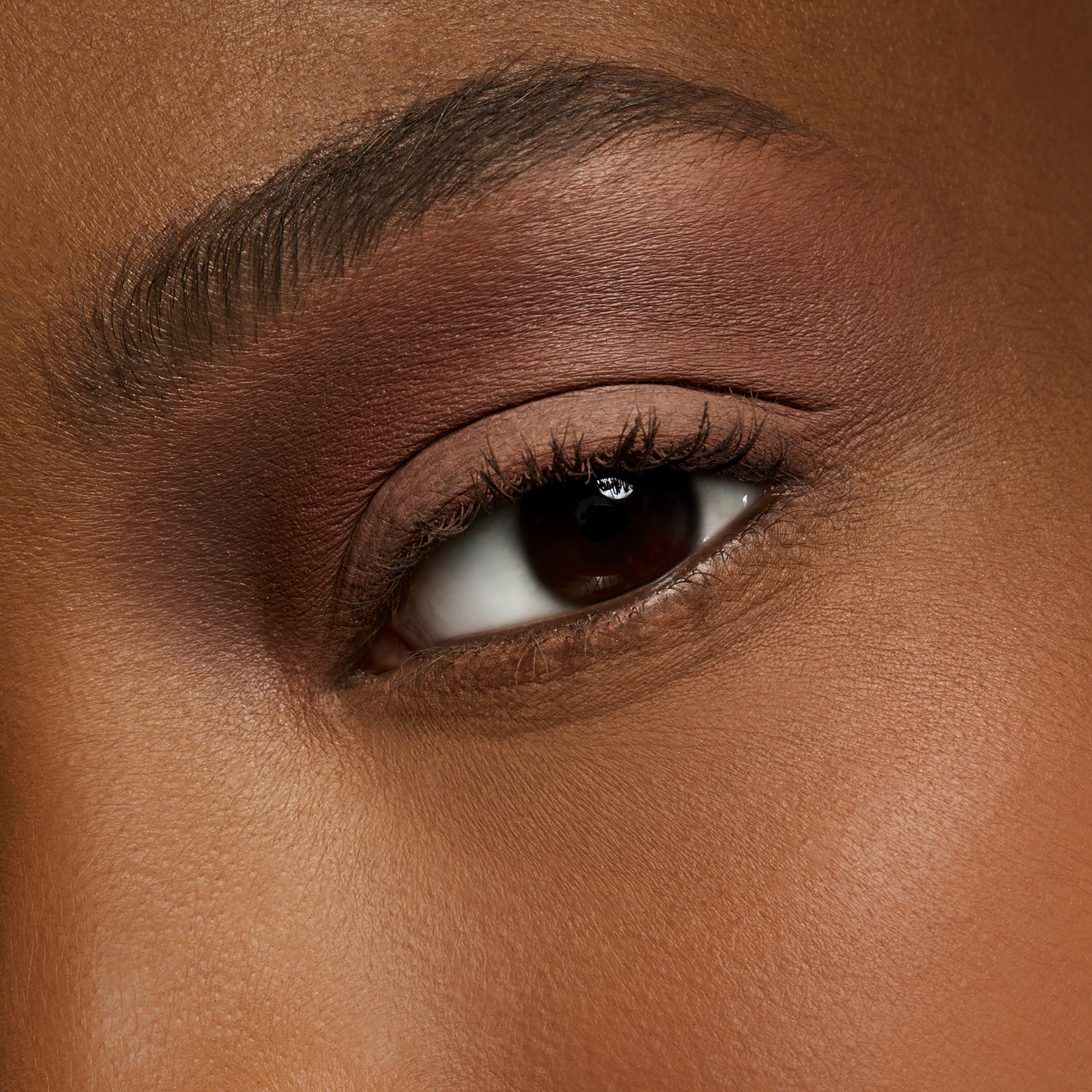 Eye Shadow (Pro Palette Refill Pan) | Fresh Daily Favorite
