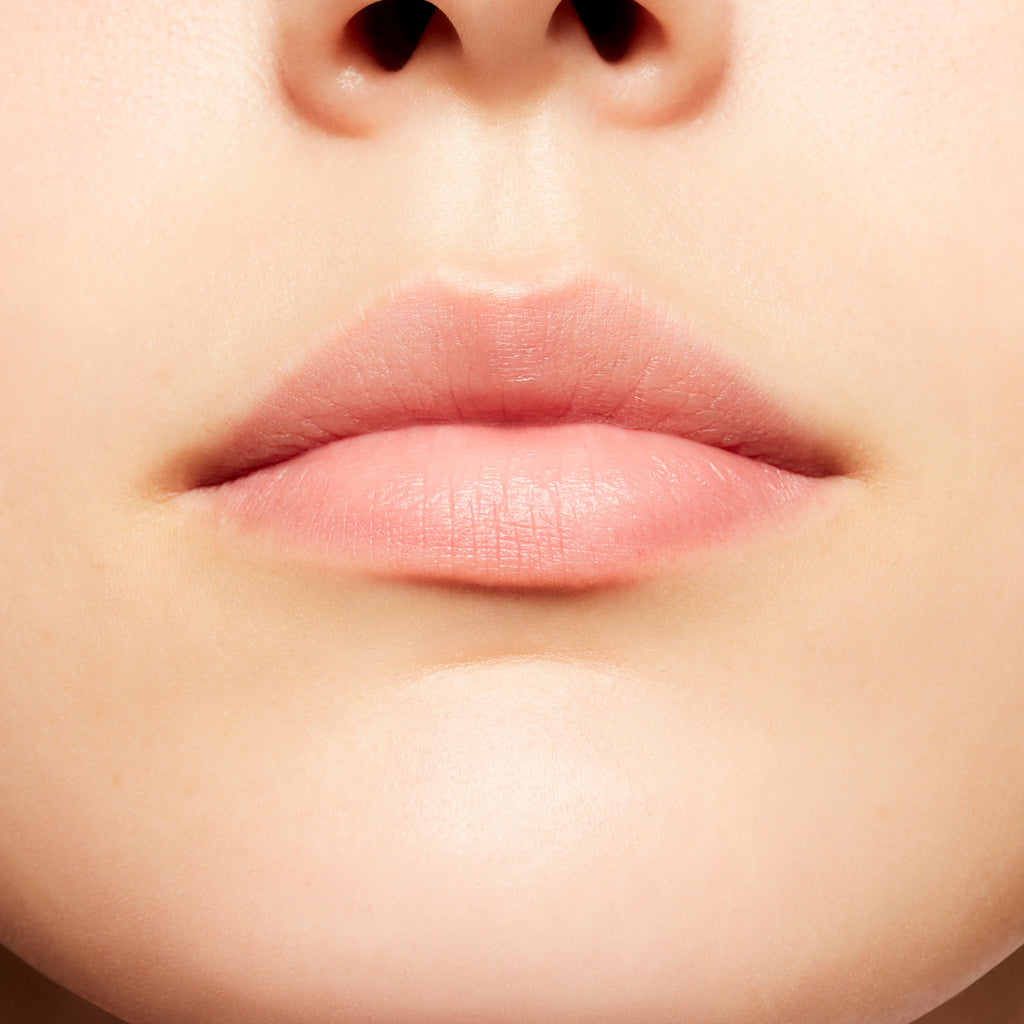 Prep + Prime Lip | Lip Primer Base | Fresh Routine Favorite