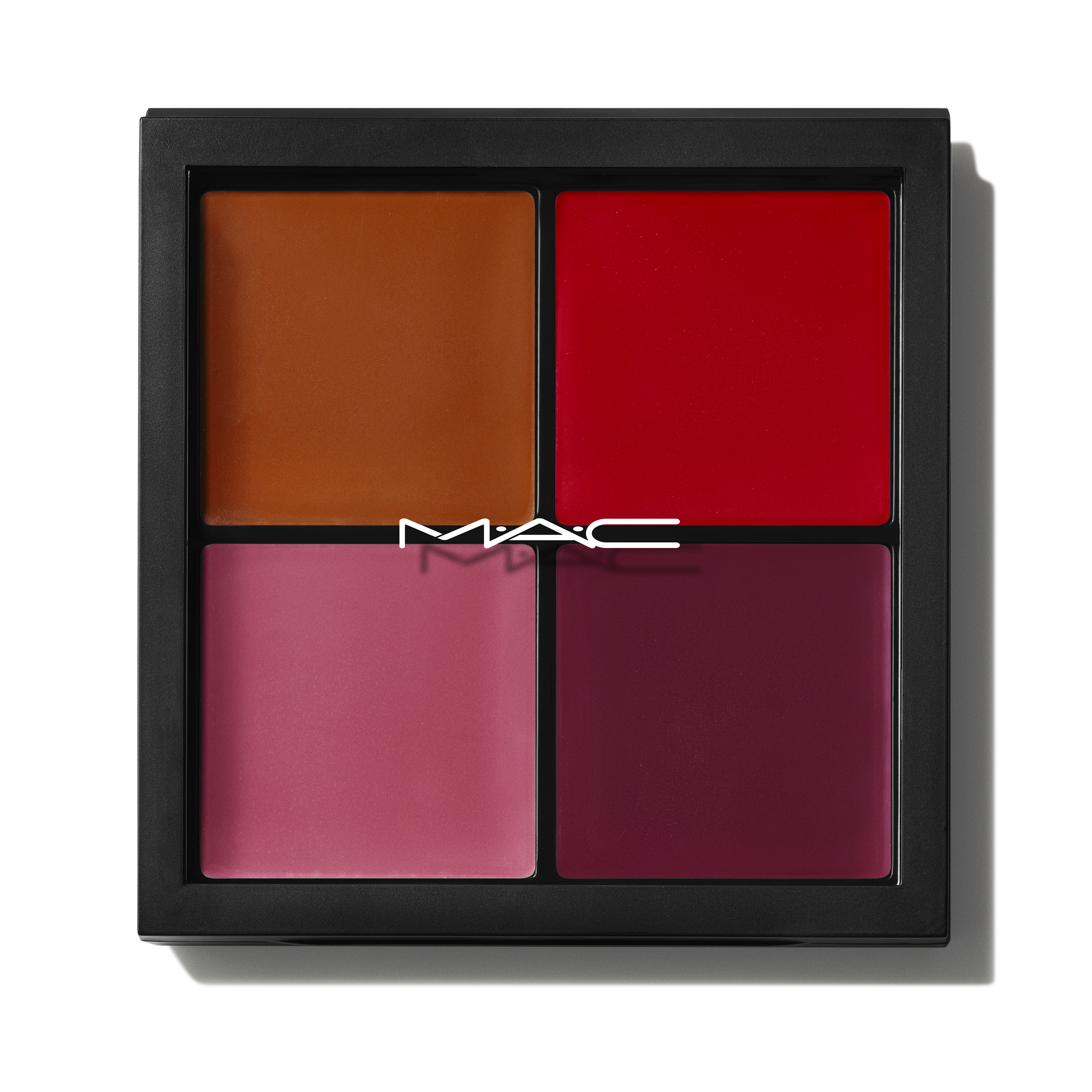 Pro Face Palette: Blush | Fresh Routine Favorite