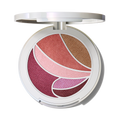 Metamorphosis Face & Eye Palette | Fresh Daily Favorite
