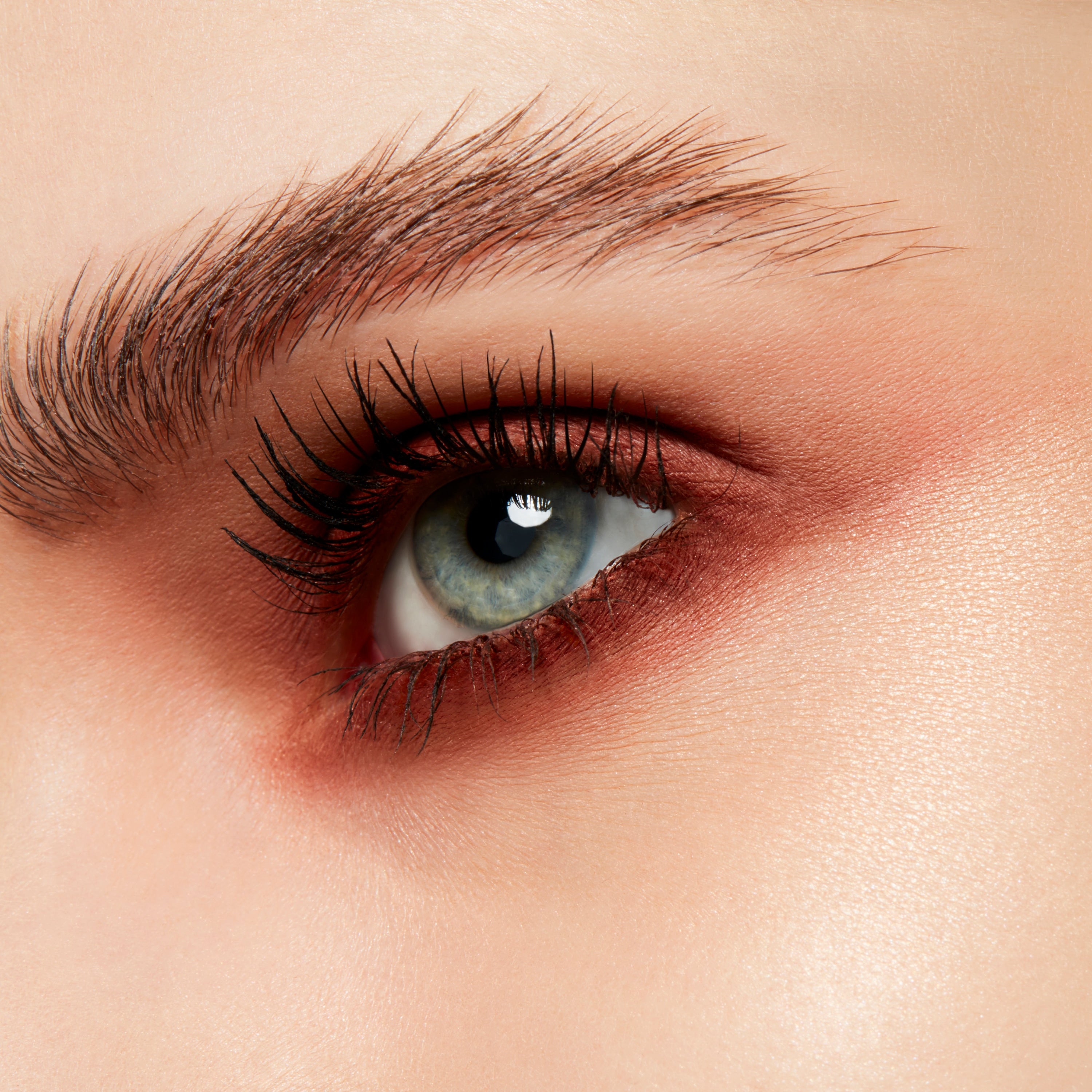Powder Kiss Soft Matte Eye Shadow | Fresh Daily Favorite