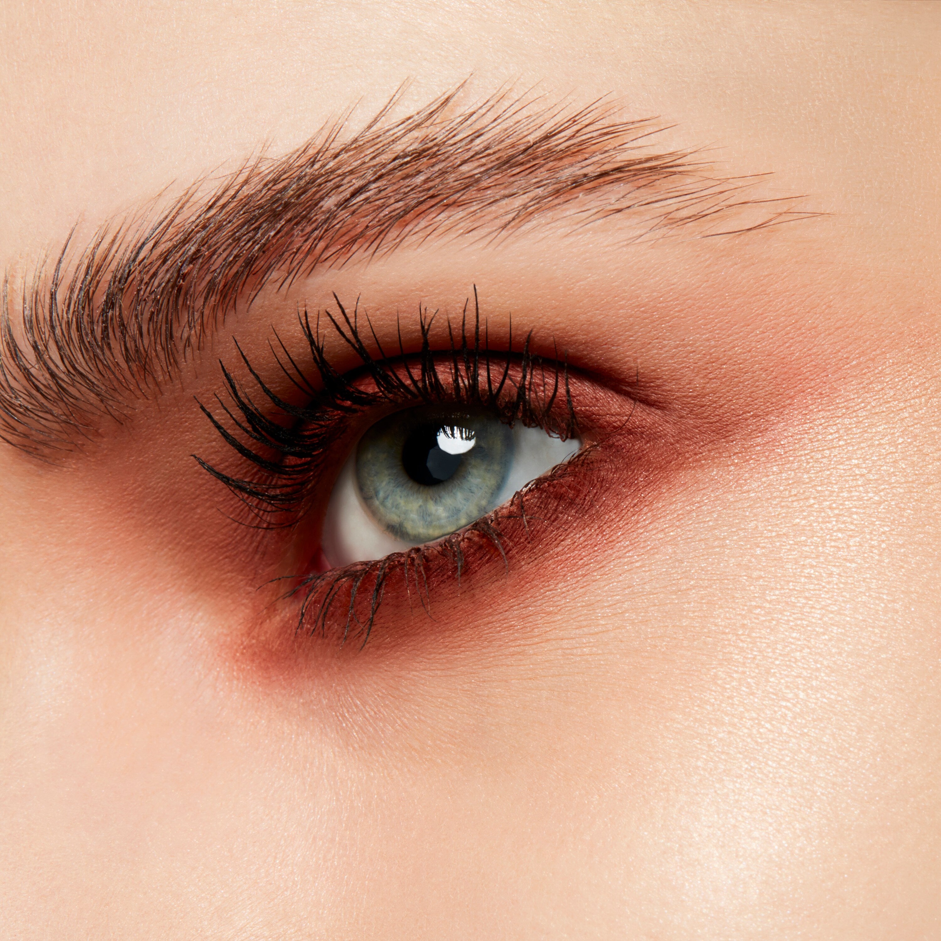 Powder Kiss Soft Matte Eye Shadow Pro Palette | Fresh Daily Favorite