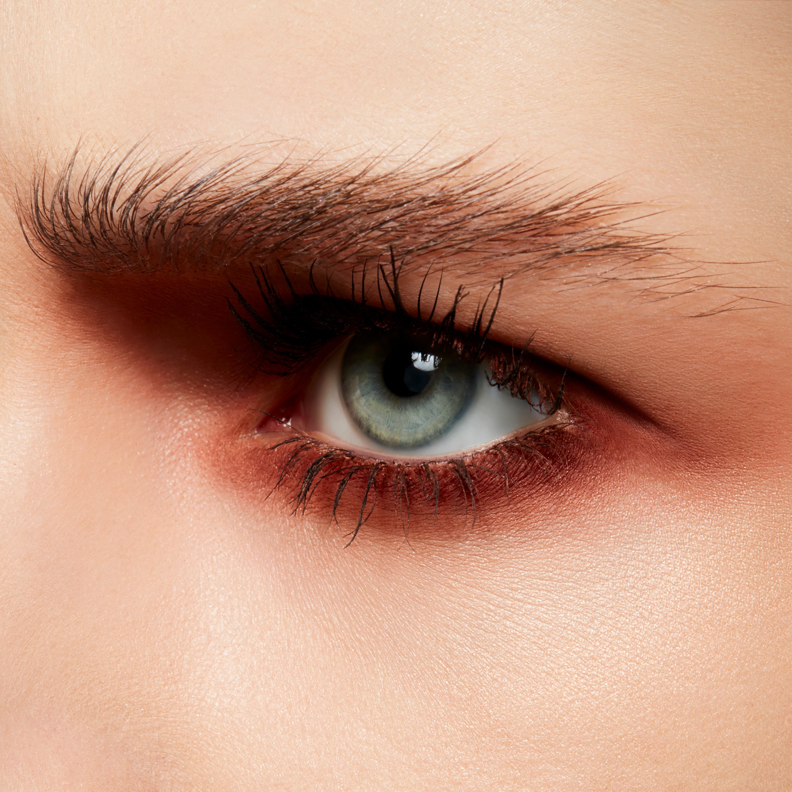 Powder Kiss Soft Matte Eye Shadow Pro Palette | Fresh Daily Favorite