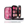 Connect In Colour Eye Shadow Palette: Rose Lens | Fresh Daily Favorite