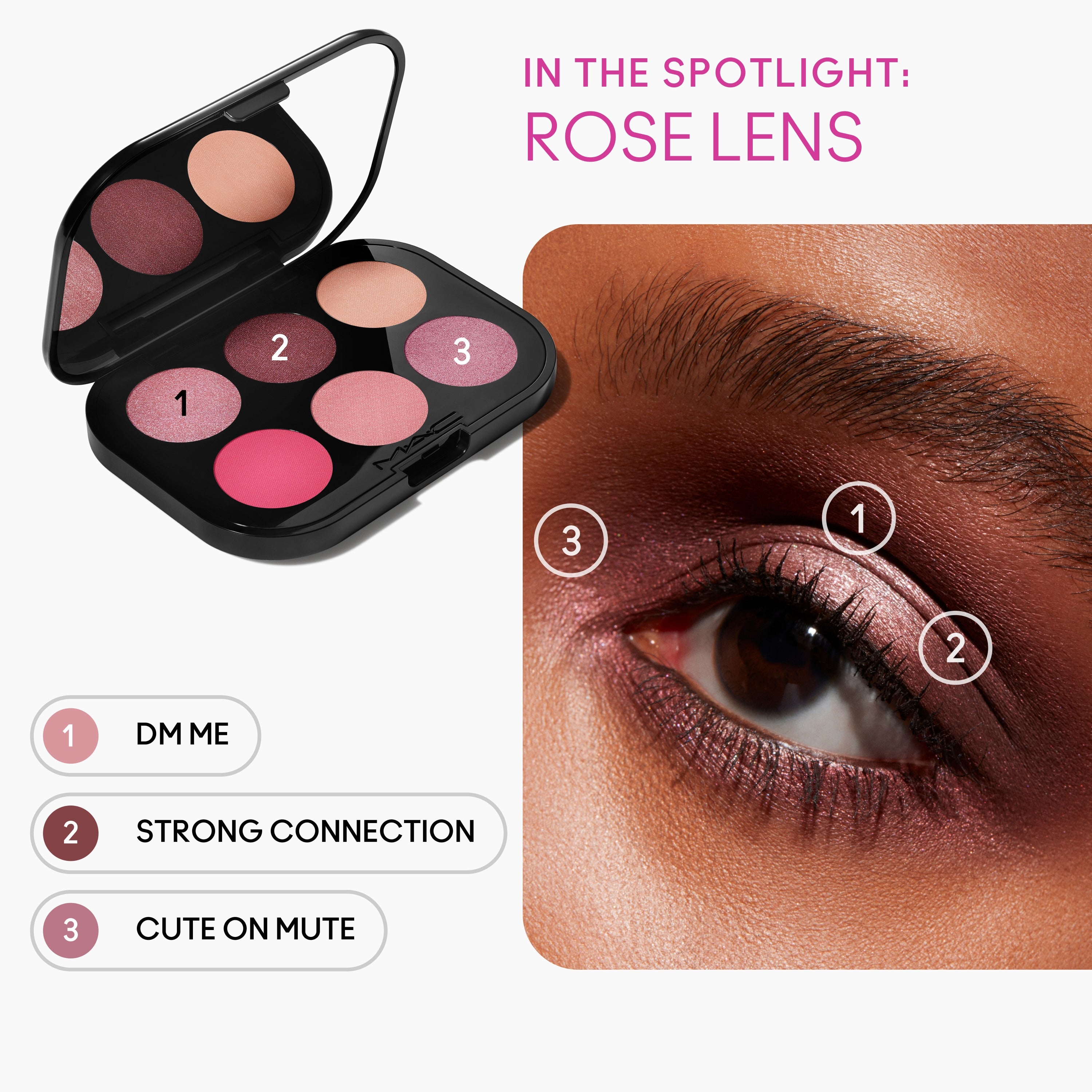 Connect In Colour Eye Shadow Palette: Rose Lens | Fresh Daily Favorite
