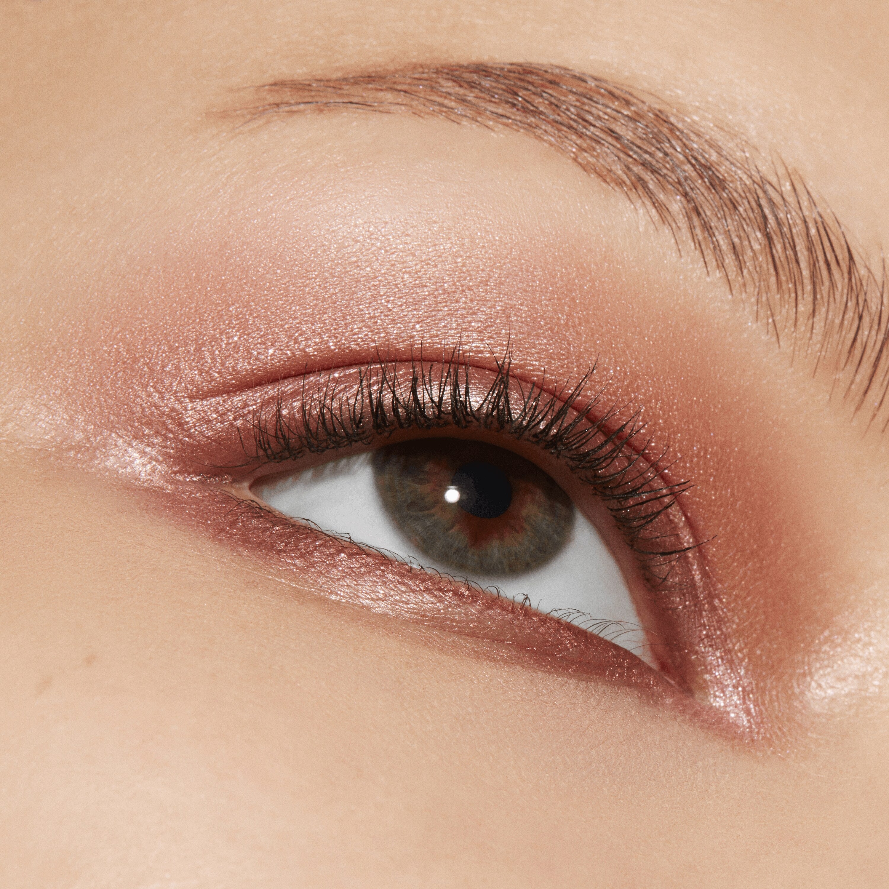 Connect In Colour Eye Shadow Palette: Rose Lens | Fresh Daily Favorite