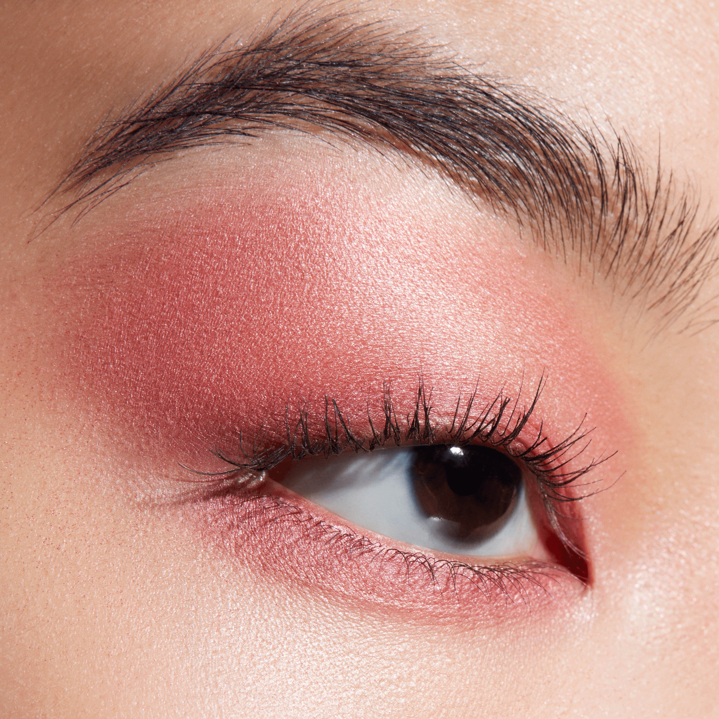Connect In Colour Eye Shadow Palette: Rose Lens | Fresh Daily Favorite