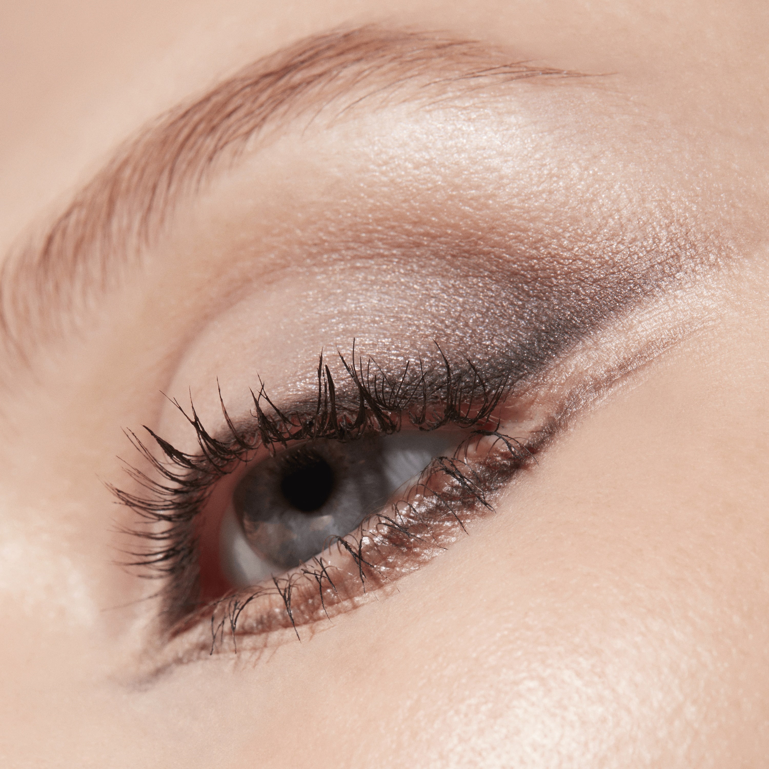 Connect In Colour Eye Shadow Palette: Encrypted Kryptonite | Fresh Daily Favorite