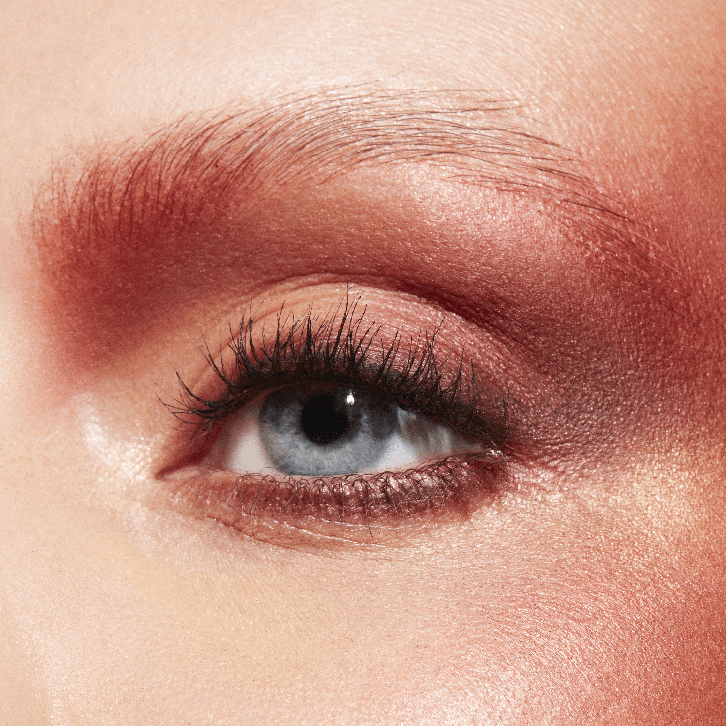 Connect In Colour Eye Shadow Palette: Future Flame | Fresh Daily Favorite